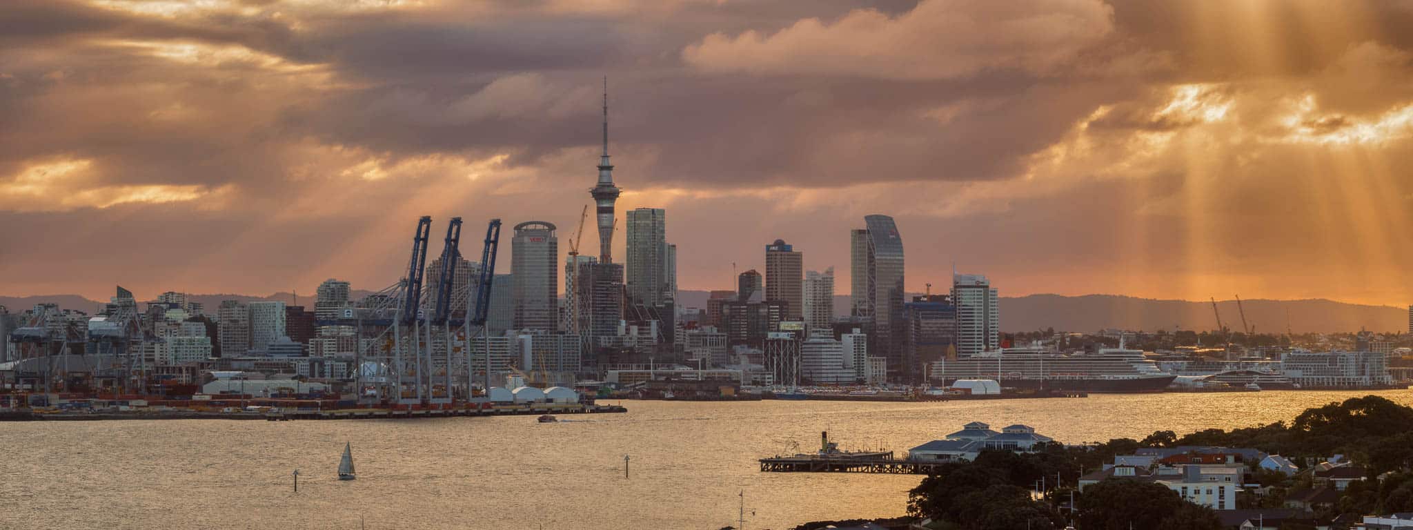 2023 New Zealand Property Report 